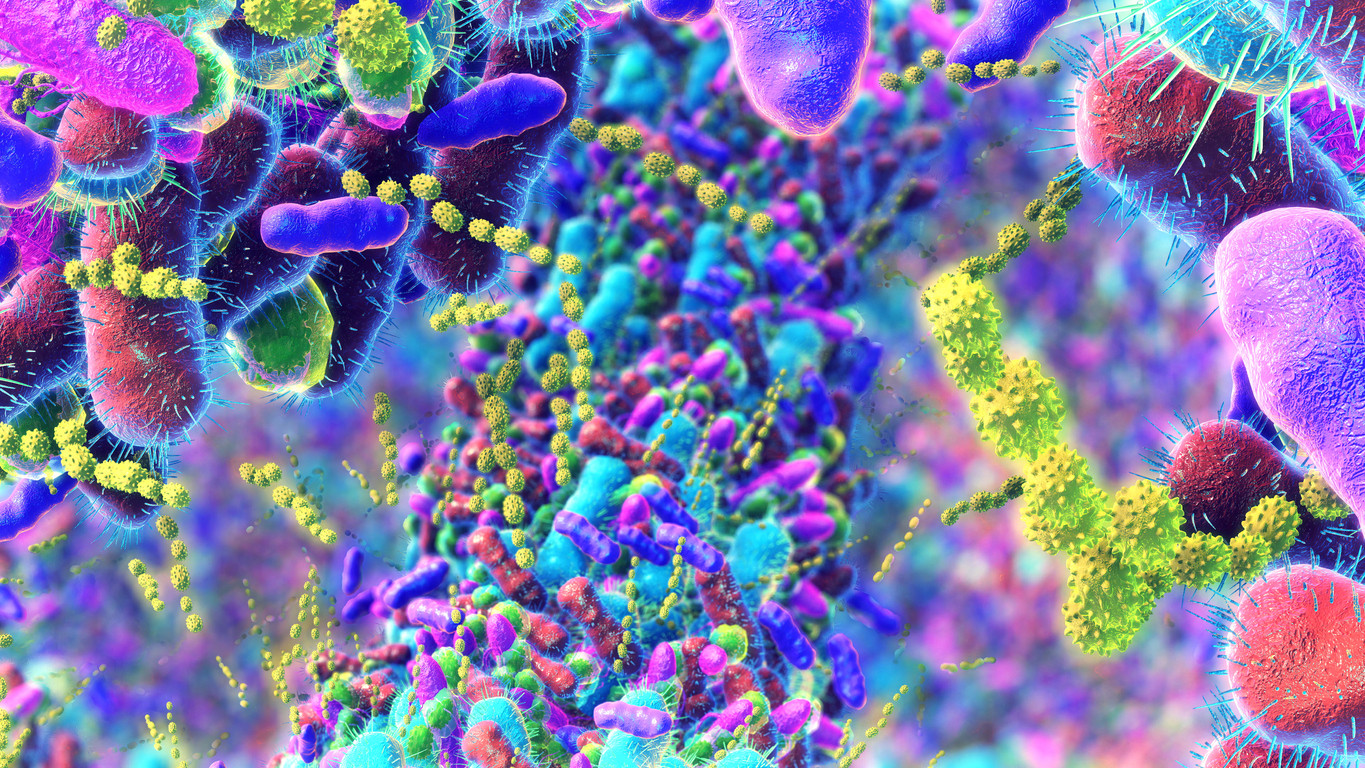 Mikrobiom – neviditelný strážce našeho zdraví - post cover